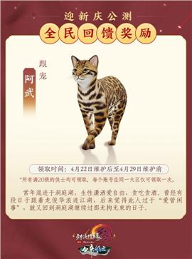 土豪令天龙八部私服